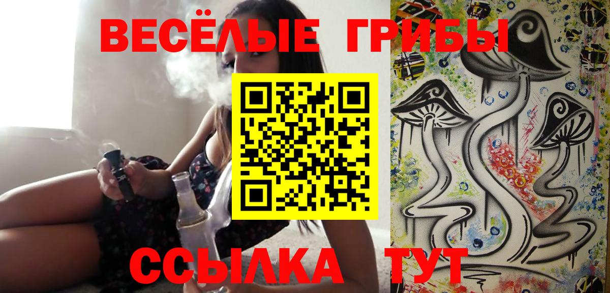 Псилоцибиновые грибы GOLDEN TEACHER  Вход с VPN  Геленджик 