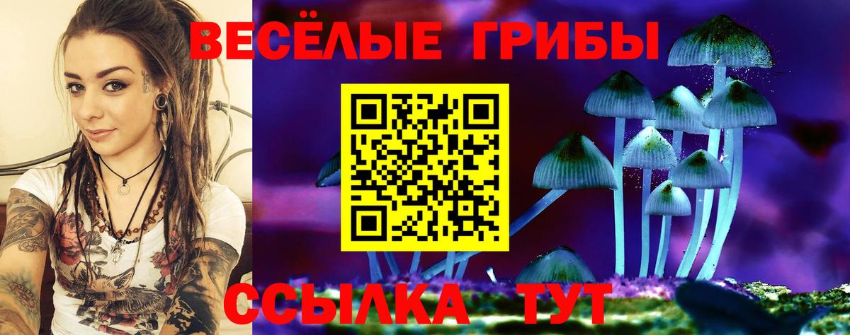 Псилоцибиновые грибы Cubensis Геленджик